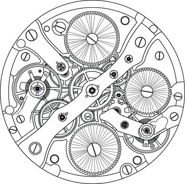 Detailed mechanical watch movement vector line art, intricate clockwork mechanism, gears, springs, and bridges, precision engineering, and internal machine illustration