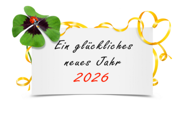 Silvester 617