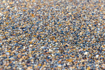 Low-angle view of a beach surface, which is composed of broken seashells