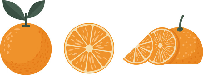 Set of fresh orange fruit illustration isolated on white background