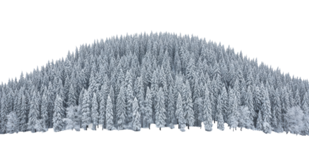 A single snow-laden rolling winter hill covered in picea pine trees, volumetric and highly textured, isolated against a transparent high-key studio background. Concept of pristine winter isolation