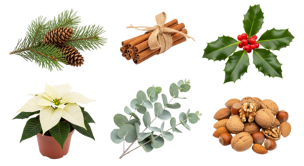Collection of festive christmas and winter elements including pine branches with cones, cinnamon sticks, holly, a white poinsettia, eucalyptus, and various nuts, isolated on transparent background