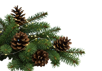 naturalistic arrangement of vibrant green picea abies boughs and frosted brown pine cones dusted with glitter, glowing led bokeh on transparent copy space. concept of minimalist winter elegance
