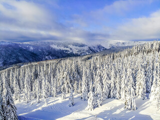 winter landscape in the mountains, Krkono&scaron;e