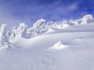 winter landscape in the mountains, Krkono&scaron;e