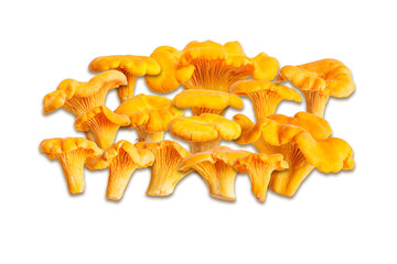 Close up set of mushrooms Chanterelle or Cantharellus, yellow orange edible raw fungus isolated on white background, cutout objects as design element. Top view natural organic vegetable protein food.