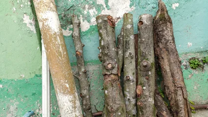 Fototapete Rund Brennholz Vertical raw logs and rough-cut firewood pieces leaning against an old, peeling green stucco wall. Detailed texture photo symbolizing natural energy, rustic design, or raw material supply.  © Setyotuhu