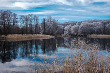 Spacer zimowy w Kartuzach 