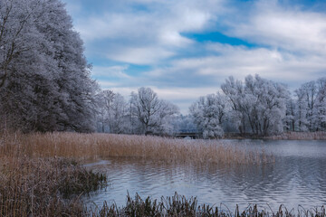 Spacer zimowy w Kartuzach 