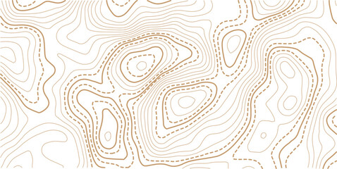 The golden on white contours topography stylized relief diagram line wave carve pattern background 
