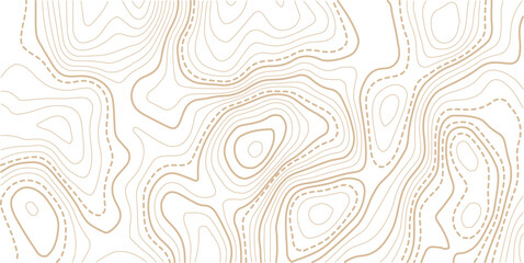 Abstract topo contour map on white background, Topographic map Topographic contour lines map seamless pattern.Topography background. Vector banner. 