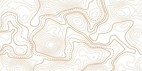 Luxury gold abstract topographic map background with golden lines texture,Mountain trail terrain or path. Vector illustration. © AFROZAOPORNA