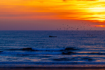 A scenic view of a boat and a flock of birds silhouetted against a vibrant sunset or sunrise over the ocean