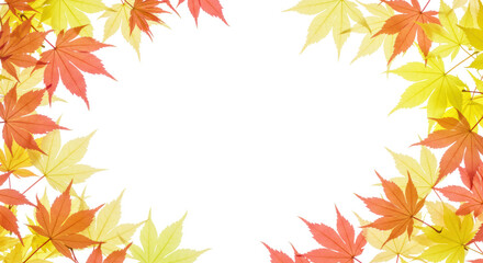 Obraz premium Delicate, vibrant spring maple leaves in pink and chartreuse form a detailed, dense flat lay border against a high-key transparent studio background with copy space. Concept of spring renewal and