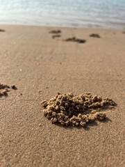 Close-up Natural sand pattern with small granules created by sand bubbler crabs at low tide, forming artistic figures on the beach