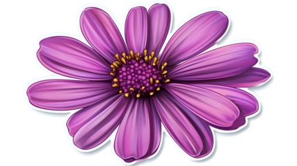 Vibrant purple daisy flower with white outline sticker style, isolated on transparent checkerboard background