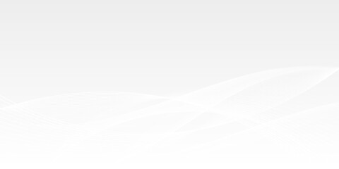 White abstract background with luxury wave lines elements vector EPS10