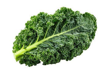 A single, textured, leafy green vegetable on a black background