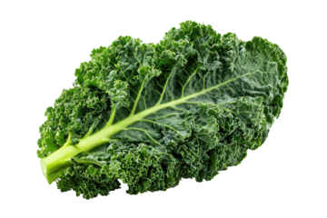 A single, textured, leafy green vegetable on a black background