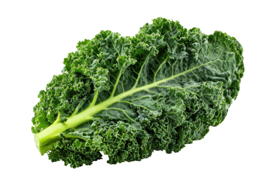 A single, textured, leafy green vegetable on a black background