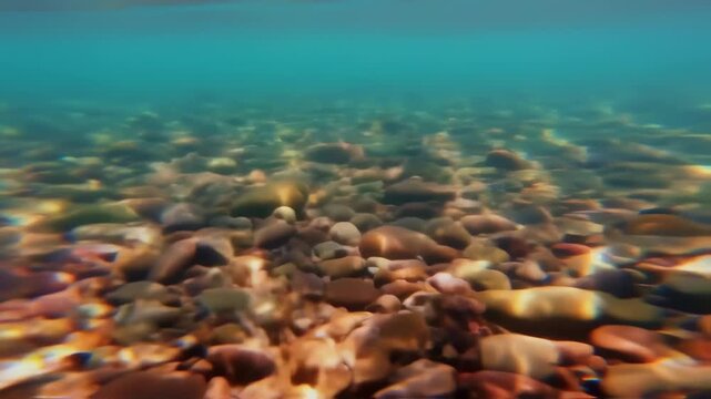 Underwater View of Rocky River or Lake Bottom with Clear Turquoise Water