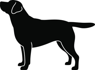 Dog silhouette illustration, standing canine outline graphic, black pet shape artwork, vector animal design for logo, signage, prints