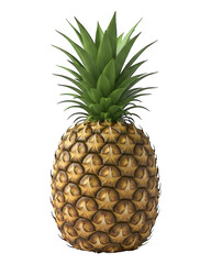 Fototapeta premium Ripe tropical fruit with spiky green crown presented against a solid dark background