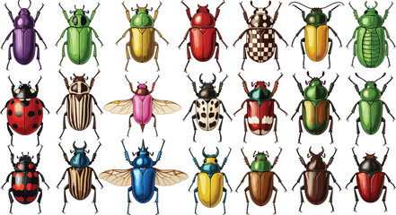Large collection of diverse and colorful beetle insects, symbolizing entomology, biodiversity, nature, pests, bug study, and macro wildlife vector illustration set