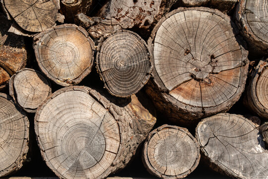 Close up full frame background texture of neatly stacked round firewood logs showing rough bark growth rings and radial cracks in the wood