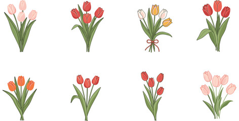 Set of colorful tulip flower bouquets and bunches, symbolizing spring, gardening, nature, beauty, celebration, special occasions, and floral gift vector collection