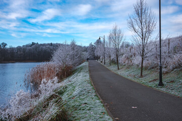 Spacer zimowy w Kartuzach