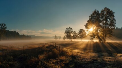 Early morning sun rays through the trees creating a magical foggy landscape with a beautiful sky and scenic countryside view