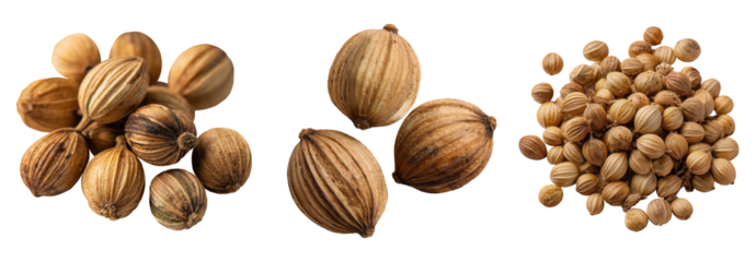 Set of spice, brown coriander seeds, isolated on a transparent background.