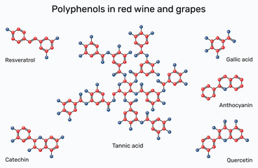 Polyphenols in red wine and grapes. Molecules of resveratrol, catechin, gallic acid, tannic acid, quercetin, and anthocyanin. Vector illustration