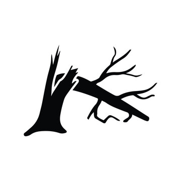 Tree without leaves, wood, old tree