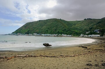 Storm debris on Owhiro bay after the storm