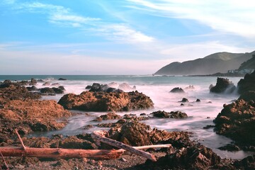 Storm debris on Owhiro bay after the storm