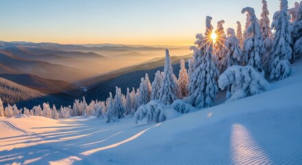 Majestic winter landscape at sunrise with snowcovered fir trees on a mountain slope, casting long shadows over the pristine snow, and a misty valley stretching into the distance under a vibrant sky