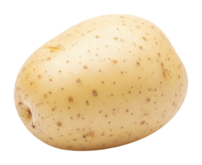 Harvested potato farm field food natural isolated on transparent background