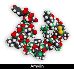 Amylin (IAPP) peptide hormone molecule. Involved in glucose metabolism, pancreatic function and amyloid formation. Spacefill atomic model. 3D rendering. Illustration