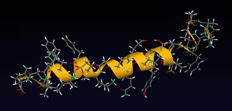 GLP-1 (glucagon-like peptide-1) hormone molecule. Dark background. 3D ribbon and stick molecular model. 3D rendering. Illustration