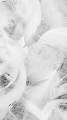 nice white duck feathers. background or texture