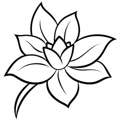 Obraz premium black and white lily