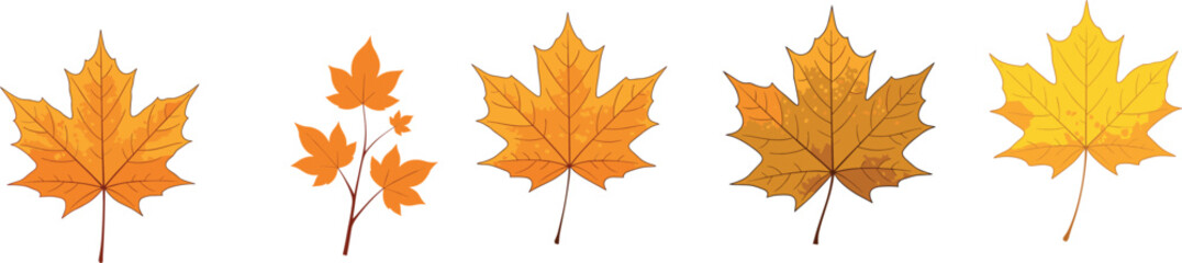 Collection of colorful autumn maple leaves illustrated in detailed vector style, showcasing various seasonal shapes, textures, and vibrant fall foliage designs.