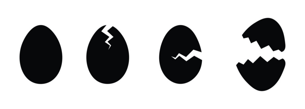 Cracked Egg Stage in Four Different Positions on Transparent Background