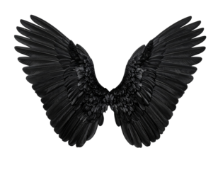 Black angel wings isolated on a transparent background.