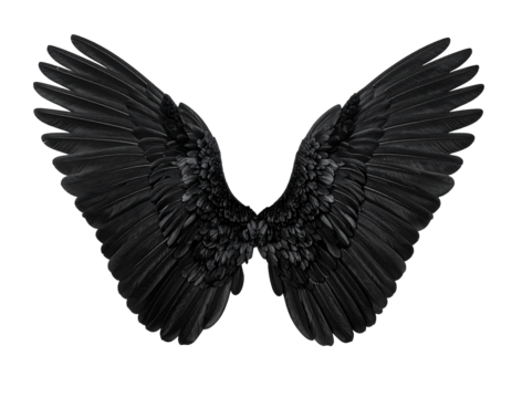 Black angel wings isolated on a transparent background.