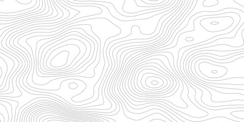 White wave paper curved reliefs abstract background, Topographic map patterns, topography line map. Vintage outdoors style. World map Template. Stock vector.