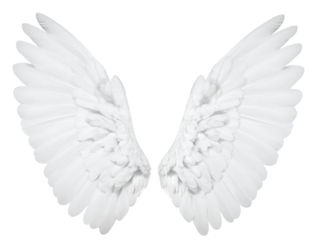 White angel wings isolated on a transparent background.