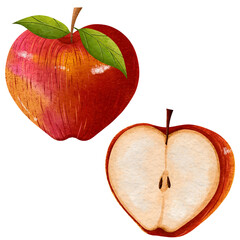 Watercolor illustration of a whole red apple and a slice with green leaves 